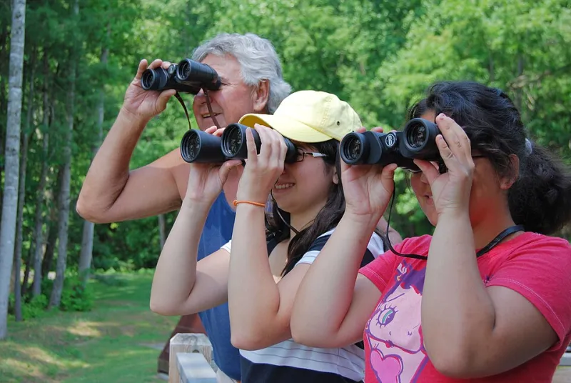 Know the Enemy: A Birder's Manual for Identifying Paper Hands Before They Flinch